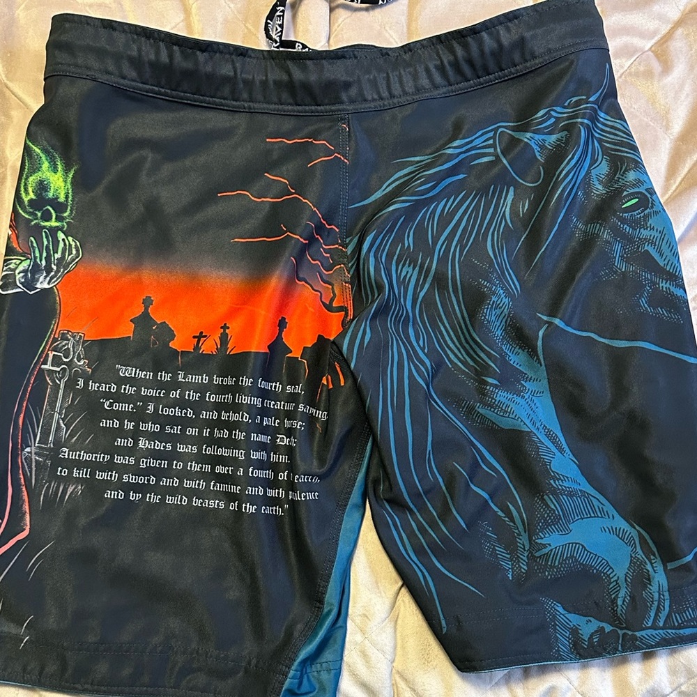 Raven fightwear MMA fight shorts